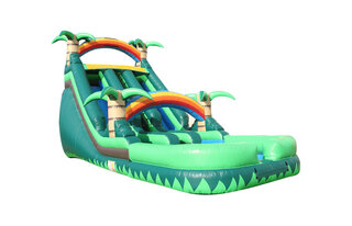 20ft Tropical Paradise Dual Lane Water slide