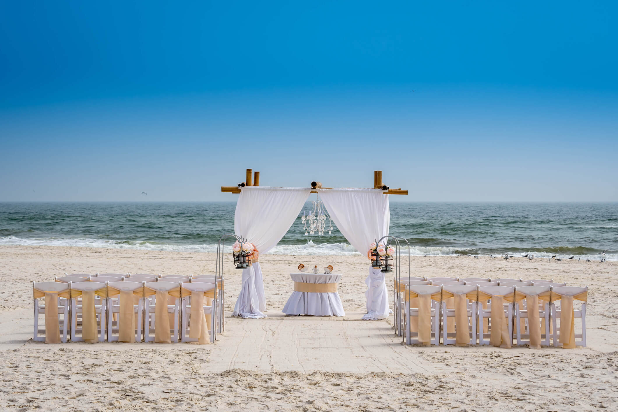 Wedding Chair Rentals | A&B Party Rentals