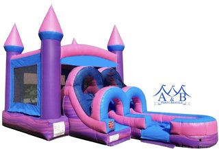 Pink Dream Bounce House Combo Rentals