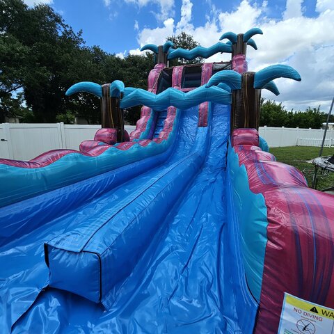 pink paradise slide for rent