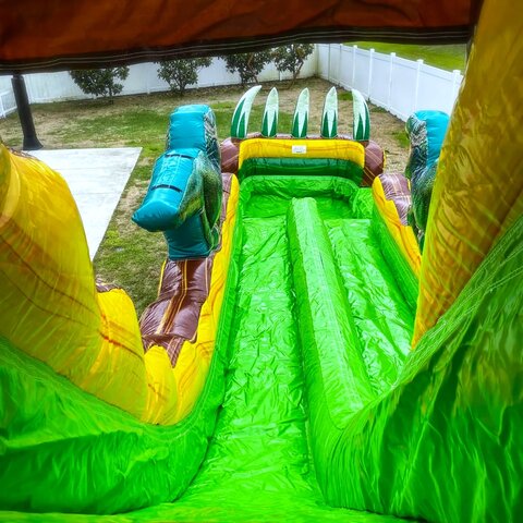 dinosaur inflatable FL