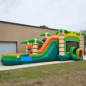 Palm tree bounce House fort myers