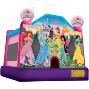 Disney Princess 4 in 1 Combo<br><b>Wet or Dry</br></b>