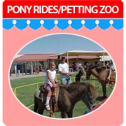Pony Rides and Petting Zoo