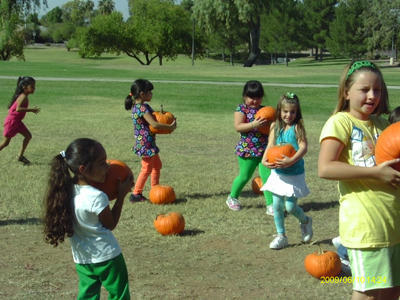 Kids picking their very own Pumpkins after visiting the Petting Zoo