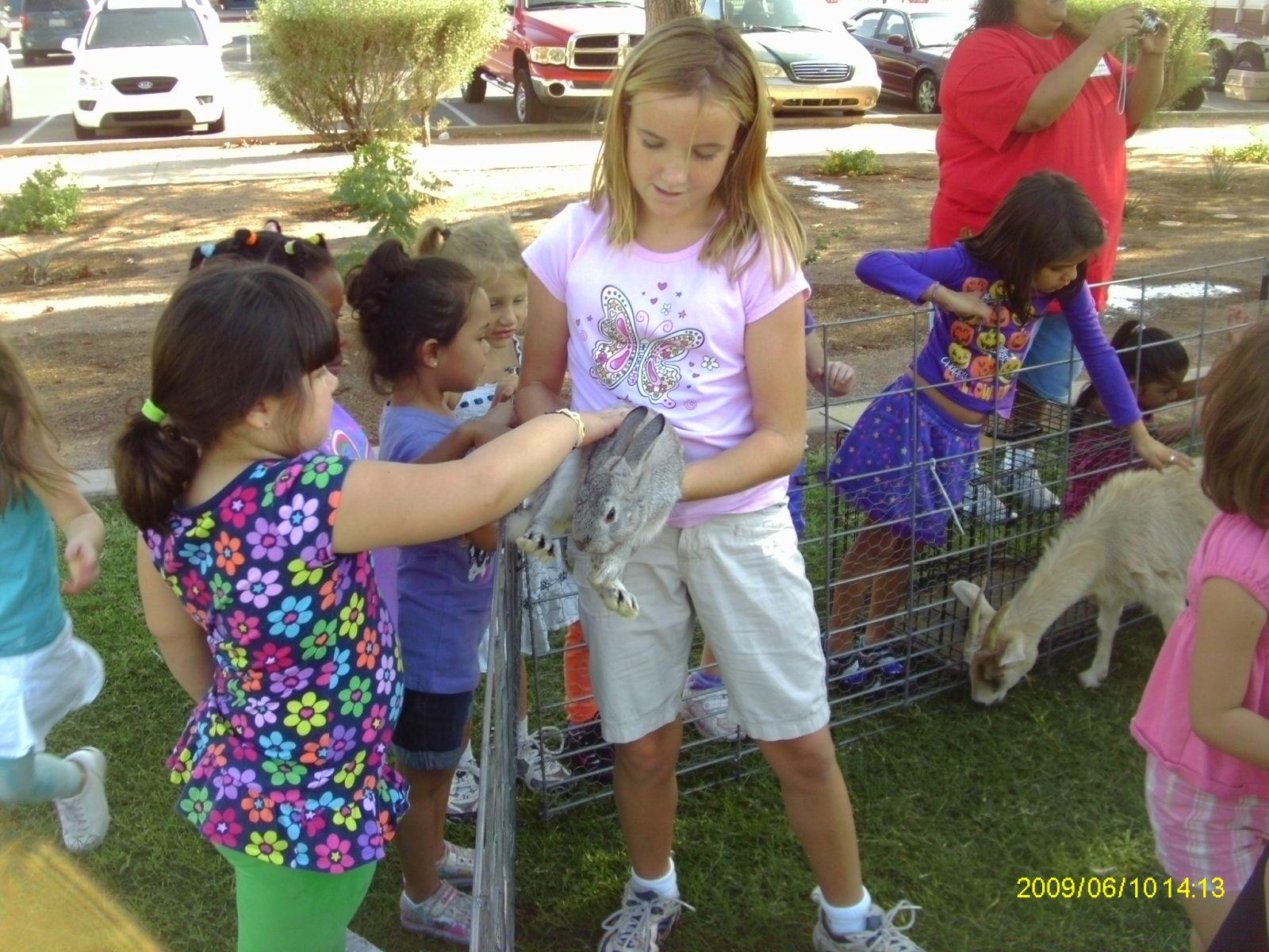 Enjoy the petting zoo plus pony rides