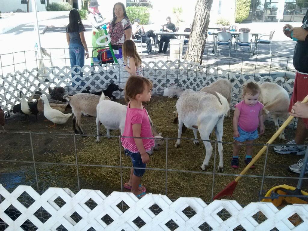 Our Easter Petting Zoo is a real treat for the whole family