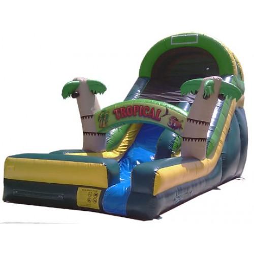 Tropical Wave Water Slide for your Luau