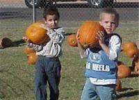 Traveling Pumpkin Patch and Petting Zoo