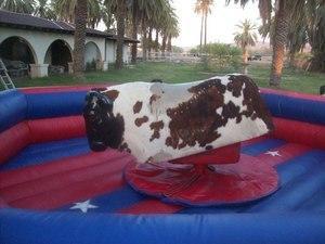 Mechanical Bull