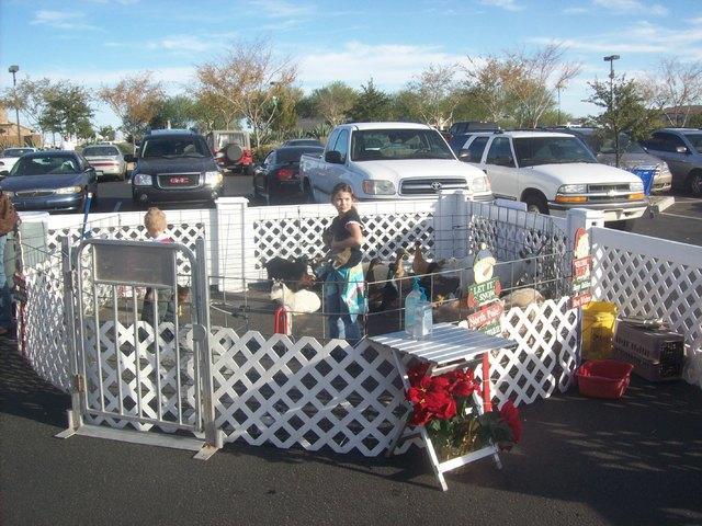 Christmas Corral 