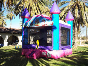 Pink Purple & Blue Princess Castle