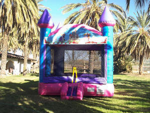 Pink & Purple Princess Castle