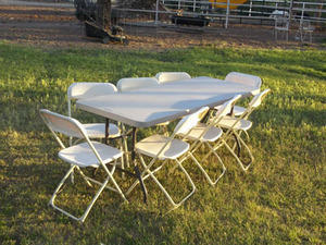 1 Adult Table & 8 Chair Package