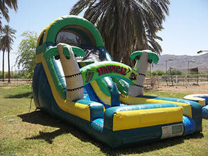 Tropical Wave Water Slide for Teens
