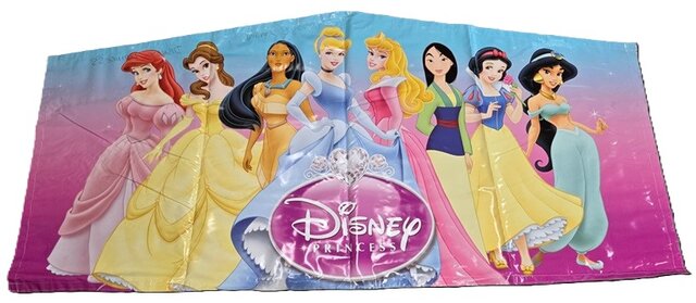 Disney Princess Banner #1