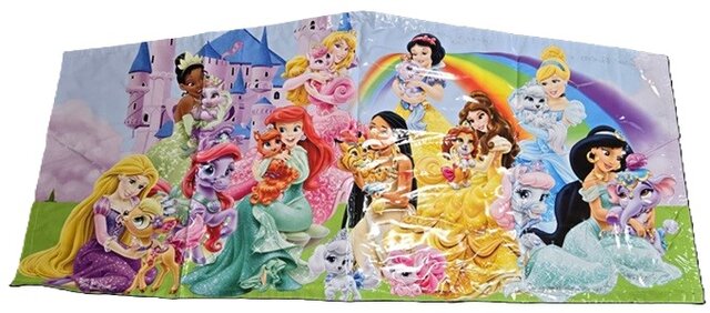 Disney Princess Banner #2 