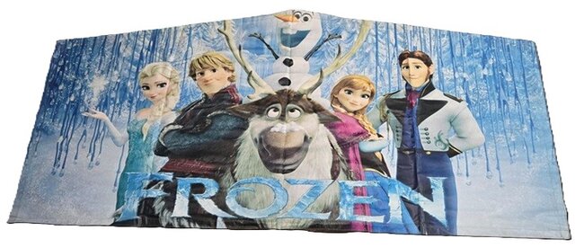 Frozen Banner