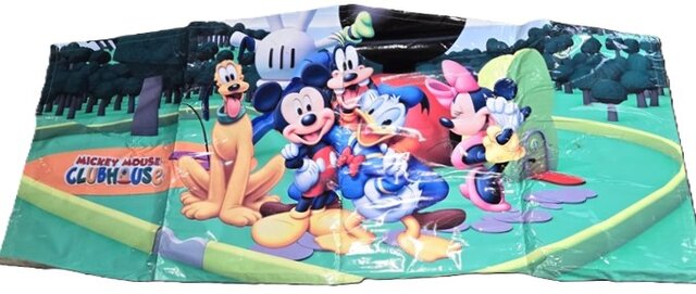 Mickey Mouse Club Banner