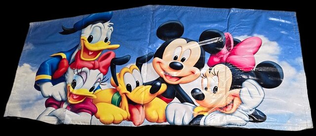Mickey Mouse and Friends Banner