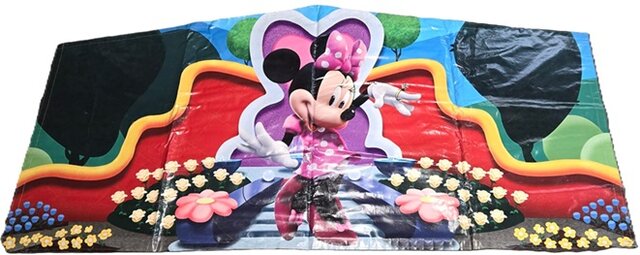 Minnie Flowers Banner