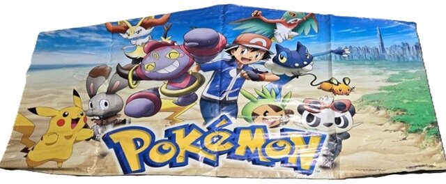 Pokemon Banner