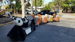 Animal Train Animal Train