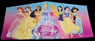 Disney Princess Banner #1