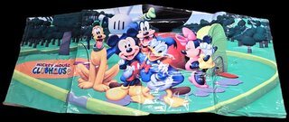 Mickey Mouse Club banner