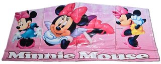 Minnie Mouse Banner