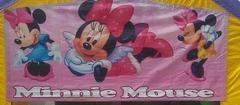 Minnie banner