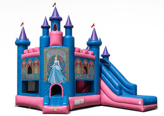 Princess Combo with Dry Slide