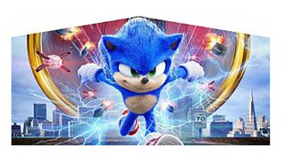 Sonic Banner