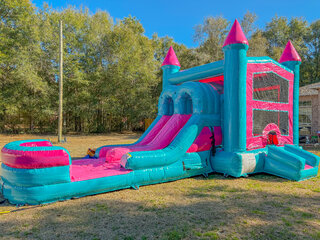 Bubblegum Kingdom Dry