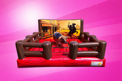 Mechanical Bull