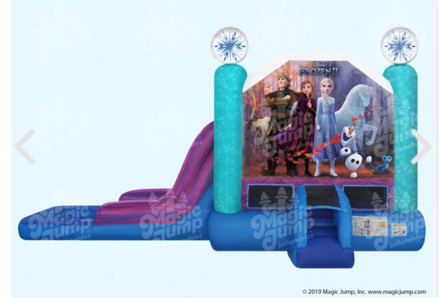 Disney Frozen 2 Combo Wet/Dry