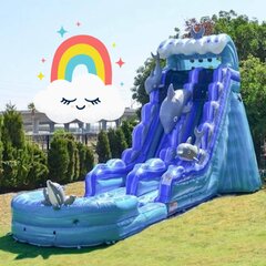 Dolphin Waterslide (wet/dry)