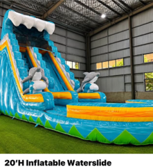 Dolphin Waterslide