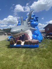 Shark Slide