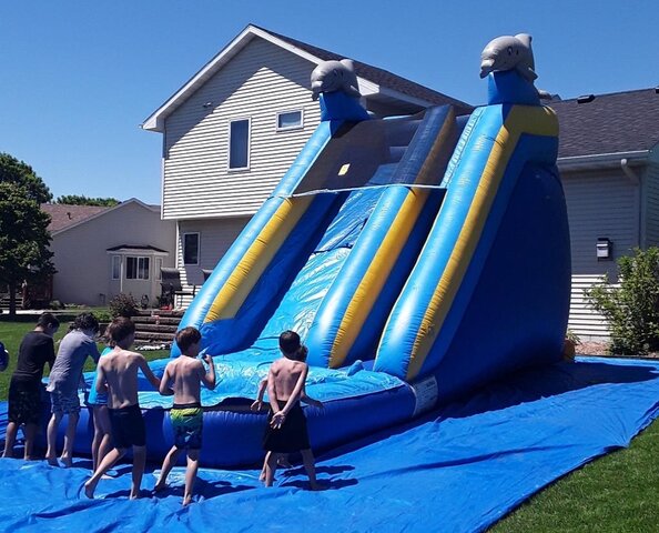 Dolphin Water Slide  