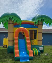 🌈🌴 Rainbow Palms Bounce House Slide Combo