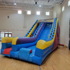 Giant Inflatable Dry Slide 