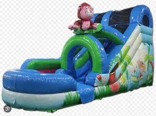 🐒💦 Monkey Surf Giant Slide Wet or Dry