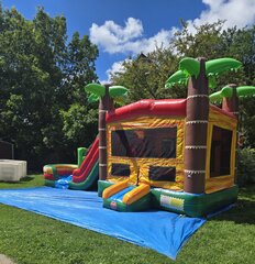 🌴 Palm Tree Wet/Dry Bounce House Combo