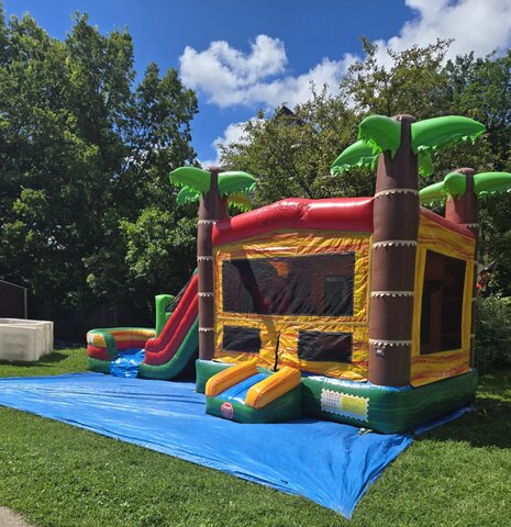 🌴 Palm Tree Wet/Dry Bounce House Combo