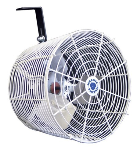 Tent Fan