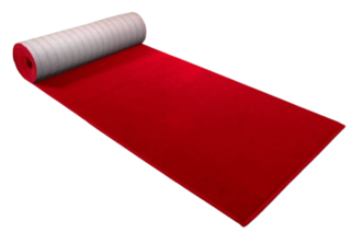 Red Carpet 3 X 10