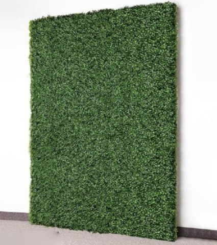 Hedge Green Backdrop