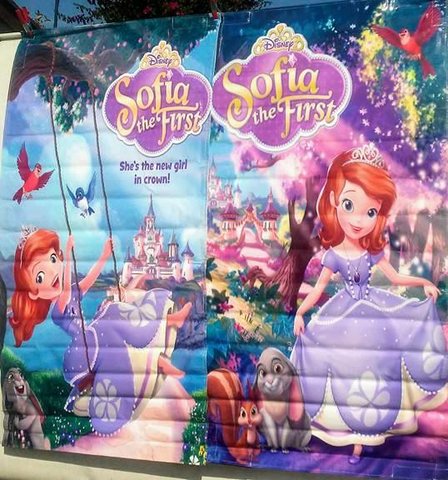 Sofia the First Banner
