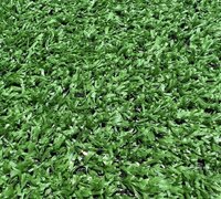 green show turf 10x20